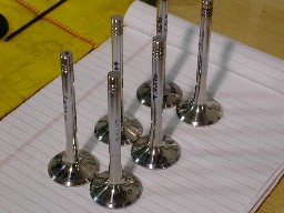 EX Valves